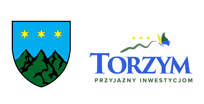 Logo Torzym Inwestycje